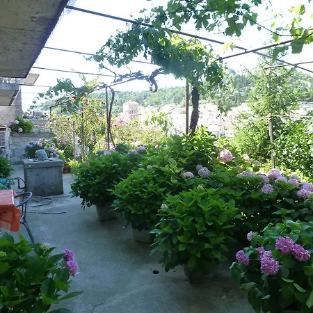 Bracanovic Guest house 3*