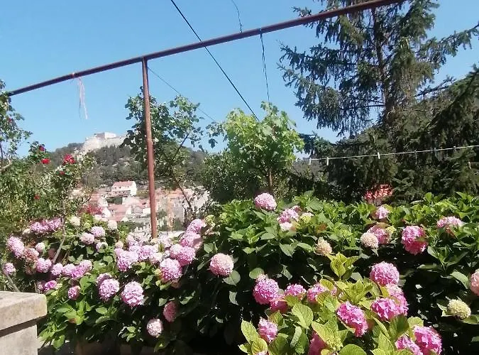 Bracanovic Guest house 3*