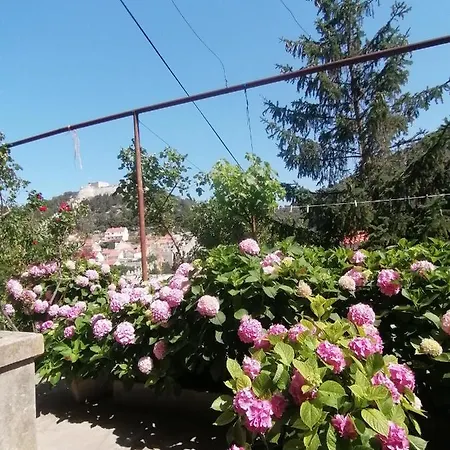 Bracanovic Гостевой дом 3*